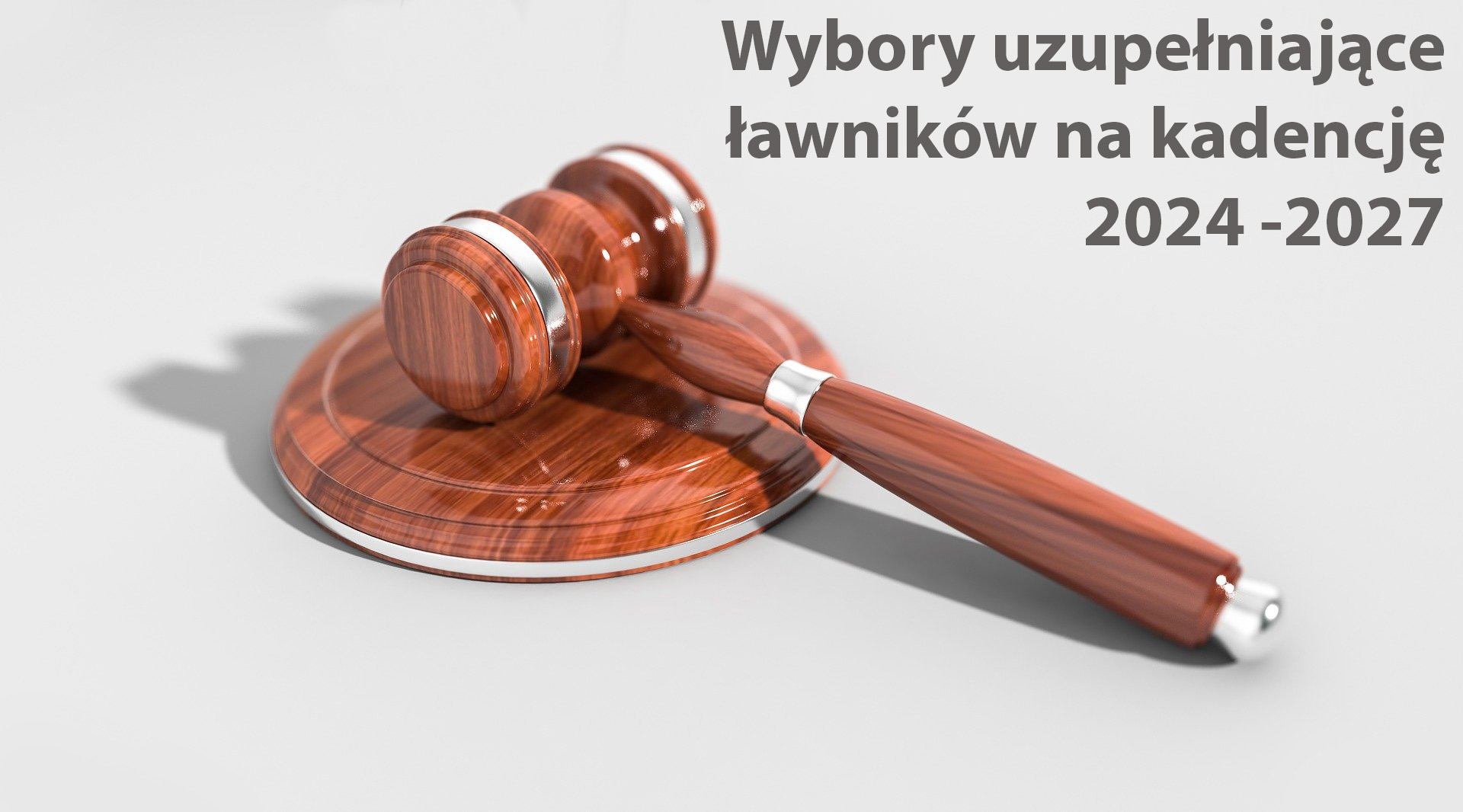 ławnicy_logo_na_www2